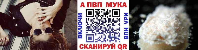 Alfa_PVP СК КРИС Архангельск